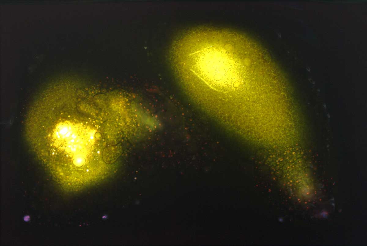 05-galaxias-em-colisao.jpg